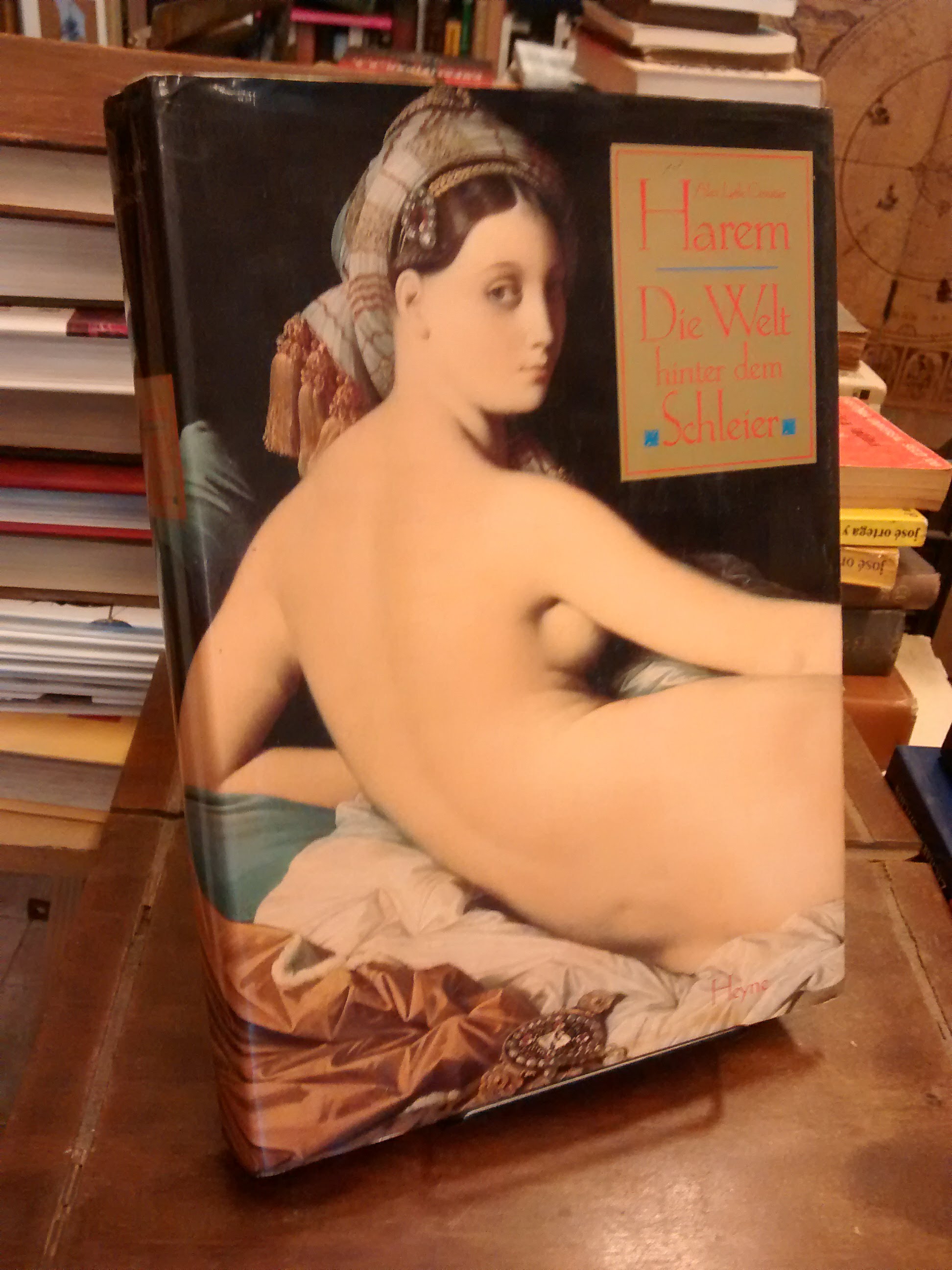 Harem - Alev Lytle Croutier