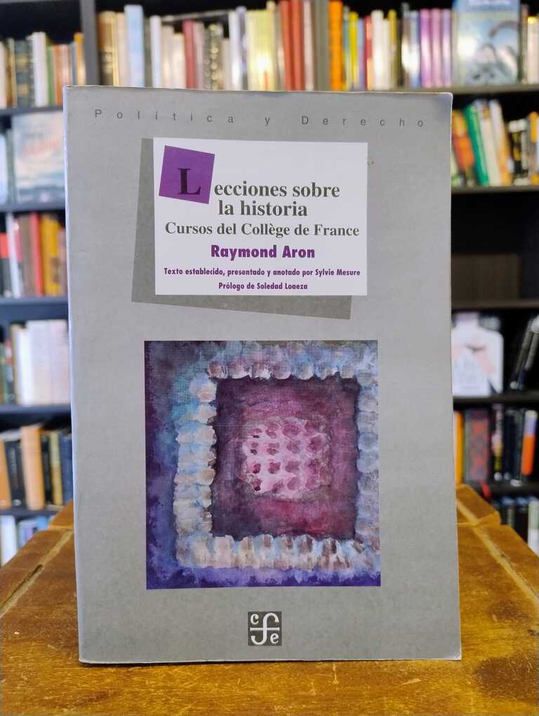Lecciones sobre la historia - Raymond Aron