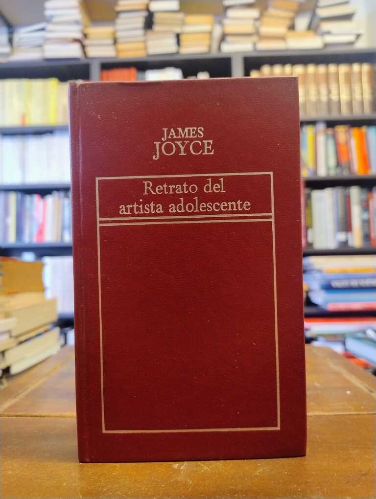Retrato de un artista adolescente - James Joyce
