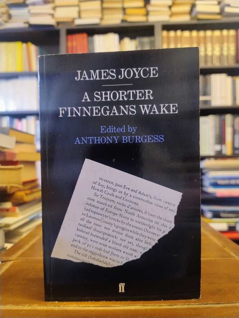 A Shorter Finnegans Wake - James Joyce