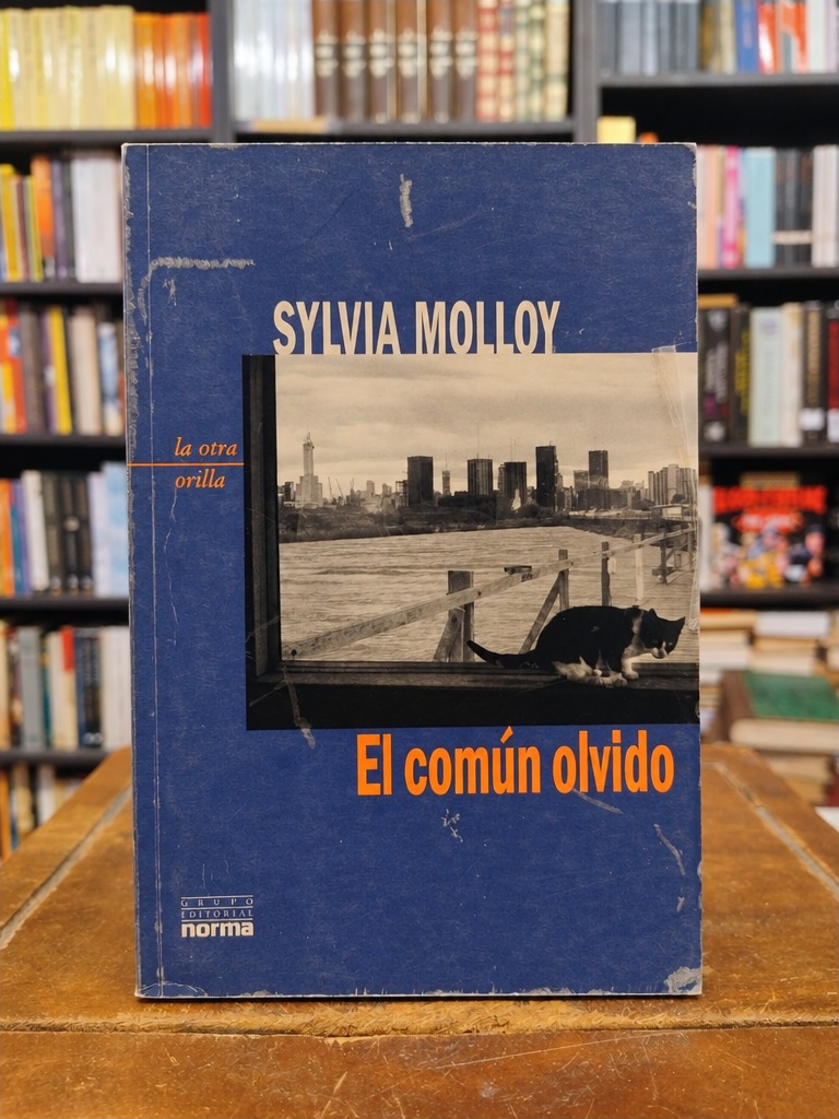 El común olvido - Sylvia Molloy
